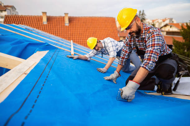 Professional Roofing Services in Nicholasville, KY